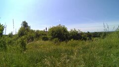 _231825A.mp4_snapshot_01.04.693.jpg
