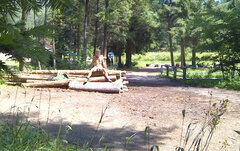 20230724_005000A.mp4_snapshot_00.50.098.jpg