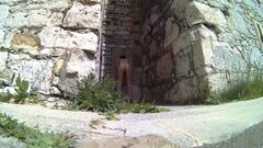 _033347A.mp4_snapshot_00.07.338.jpg
