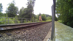 20230724_015230A.mp4_snapshot_03.19.414.jpg