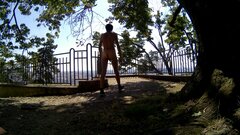 20230819_113503A.mp4_snapshot_01.31.949.jpg