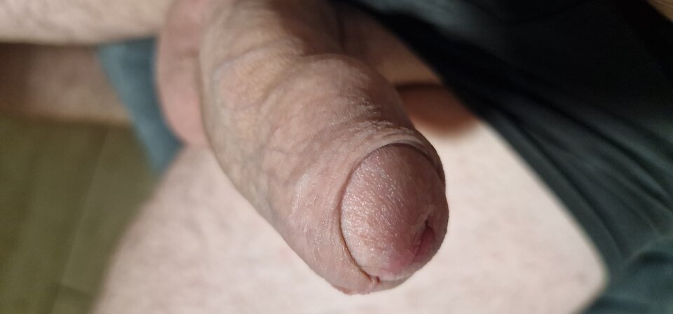 17266281765587354328219312395472.jpg - robin266