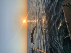 Coś co też tygryski uwielbiają…😈🤘😎