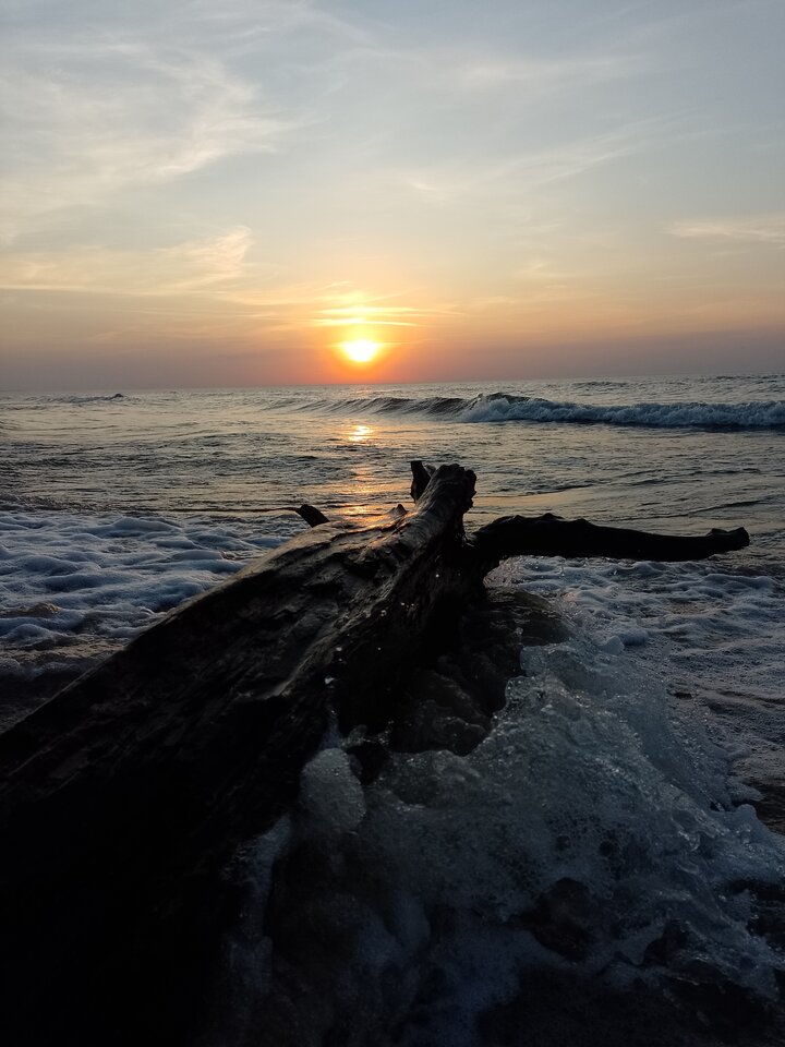 1000033860.jpg - Xxx69xxXXxx