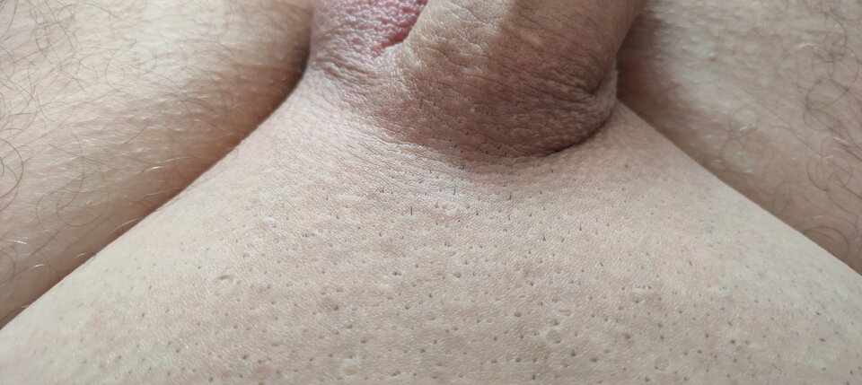 1000022481.jpg - szatan24