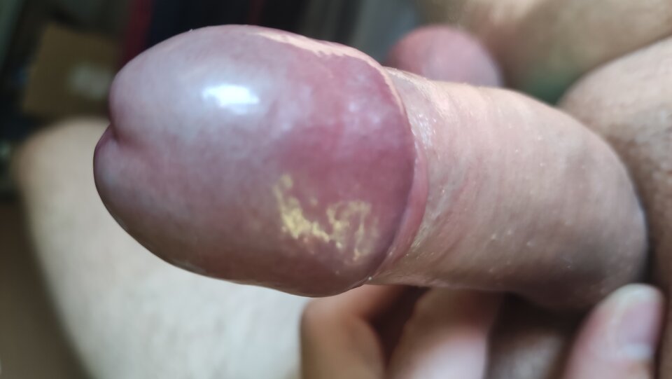 IMG_20240918_112340.jpg - Kriss7788