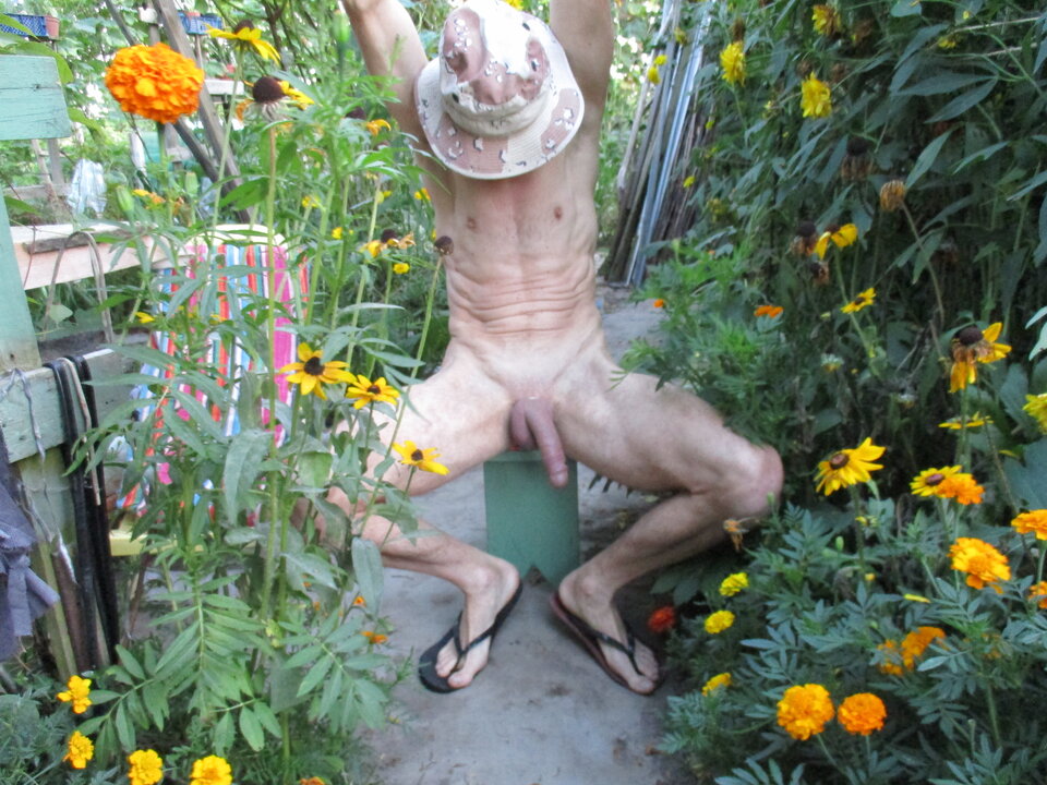 IMG_8284.JPG - gawel35