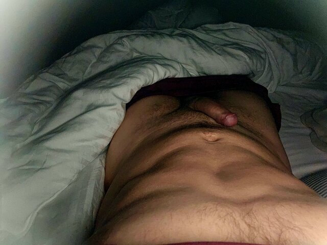 rogacz9208