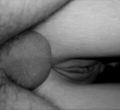 Anal00010.jpg