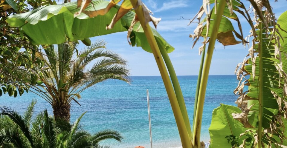 1000056654.jpg - Atrakcyjni7883