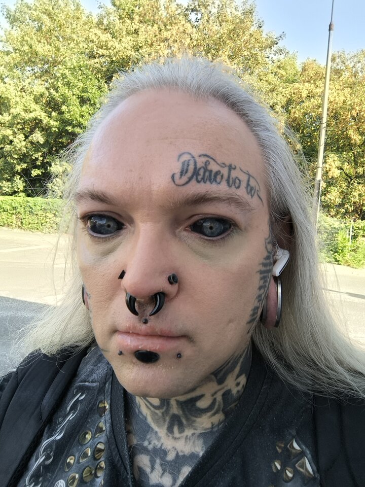inbound9144035711246918340.jpg - ModBoy