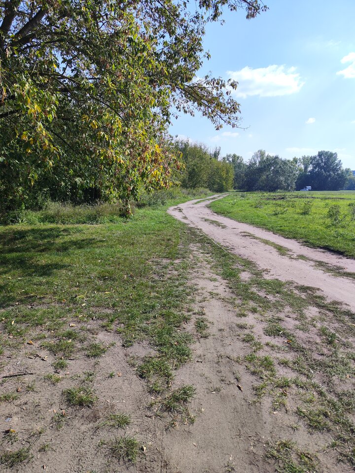 2024-09-1913.18.527767012191581486134.jpg - tom6970