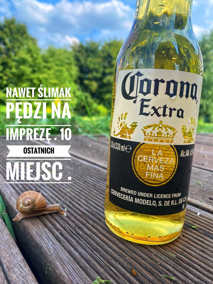 🌯🇲🇽 - serialowapara19782