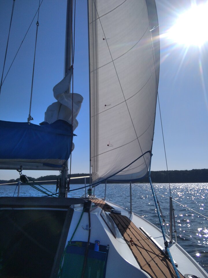 IMG_20240920_141214.jpg - kocuraaa123445