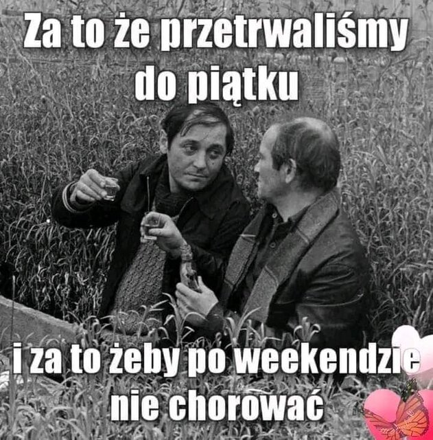 FB_IMG_1726836777285.jpg - diablicaCZYaniol82