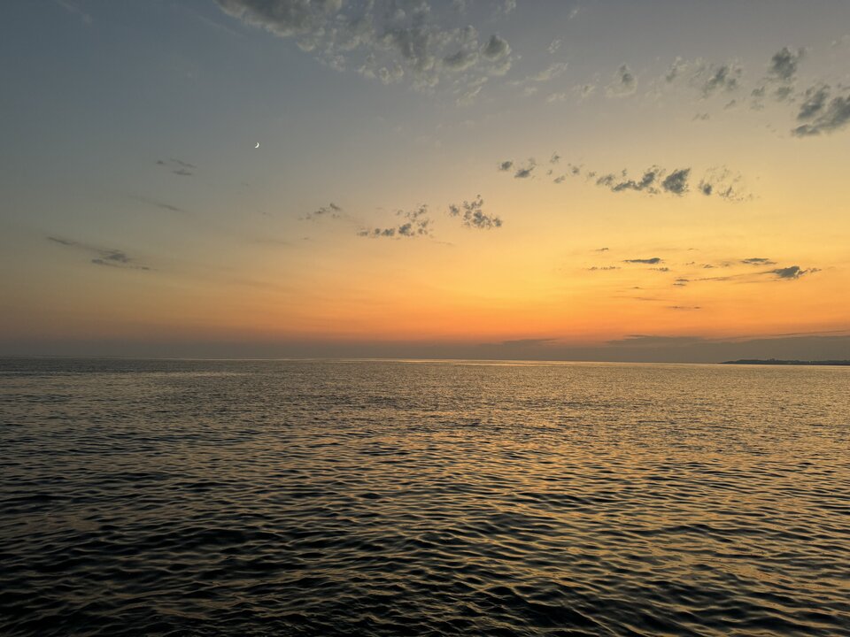 IMG_8717.jpeg - Parka__Krakow