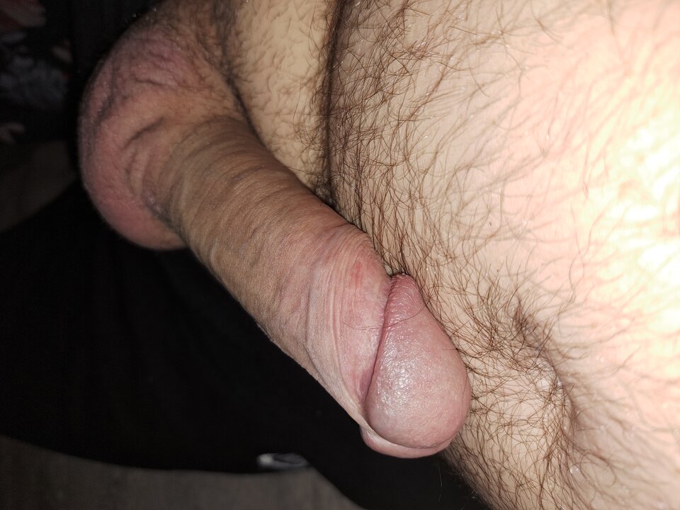 1000036657.jpg - rafal1410