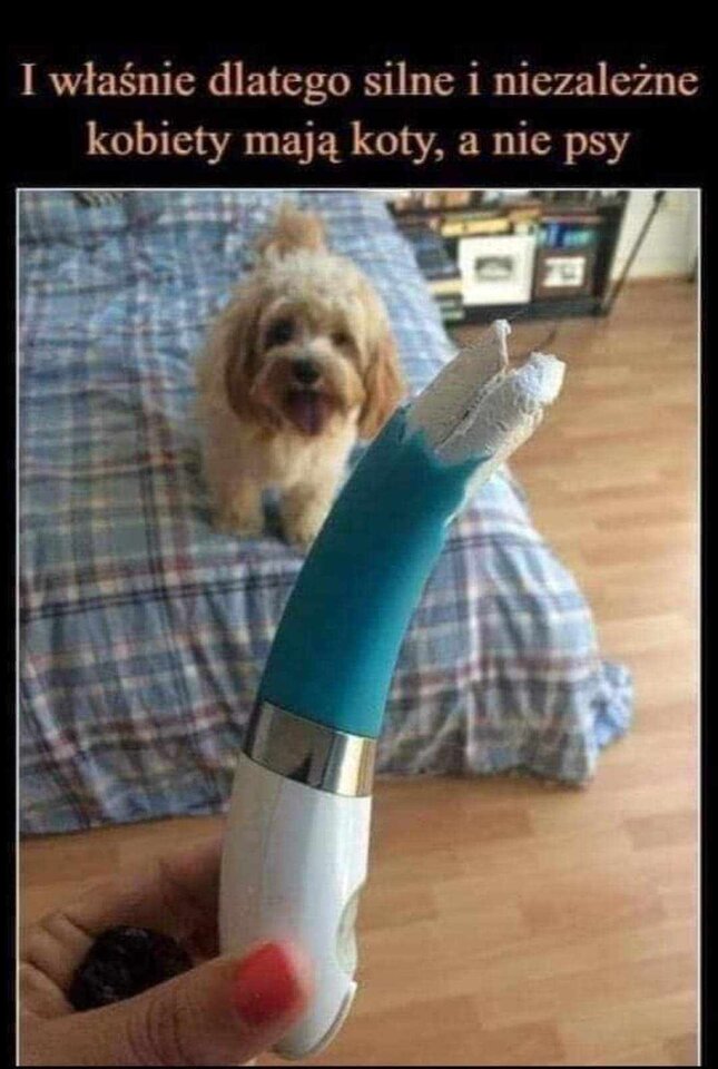 1000022619.jpg - NiewytapetowanaOna