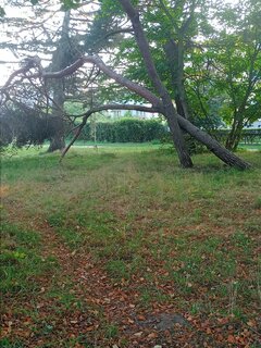 IMG20240919175200.jpg