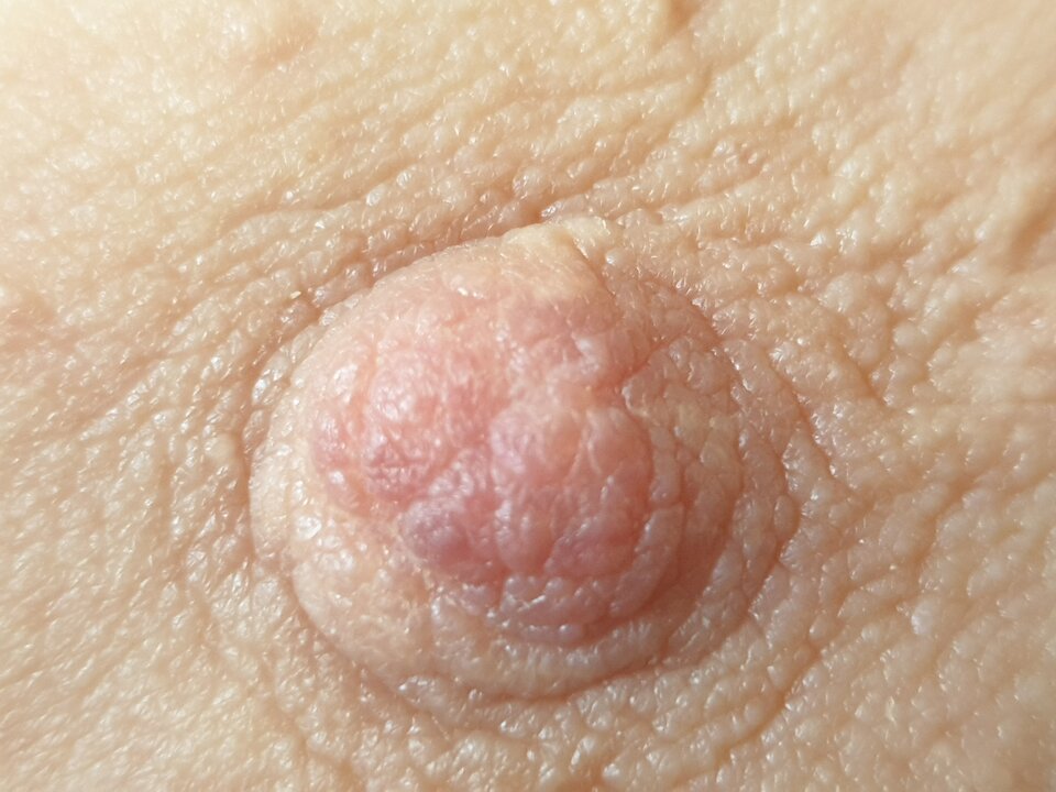 Suteczek - Agibagi2022