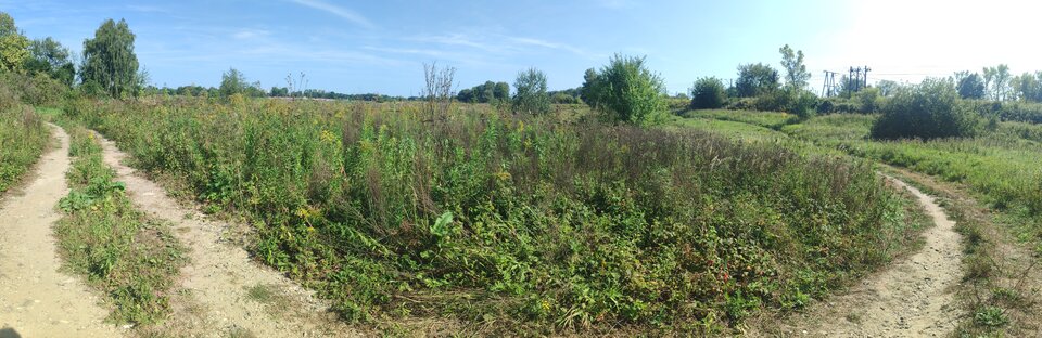 PANO_20240908_134945.jpg - niegrzecznynatutysta2001