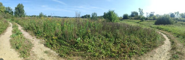 niegrzecznynatutysta2001