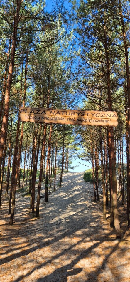 IMG-20240921-WA0006.jpg - marcinjaworski