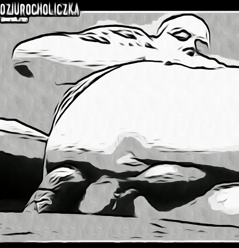 _storage_emulated_0_Pictures_comica_comica1726918859774.jpg - Dziurocholiczka