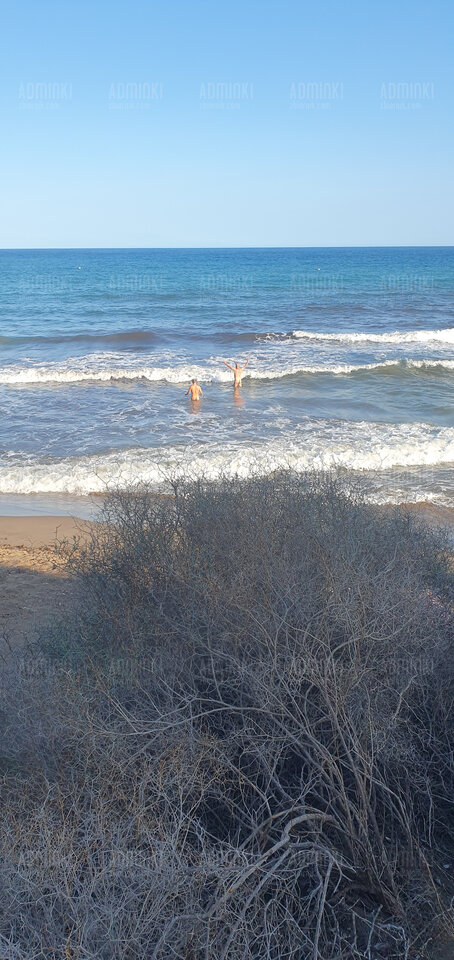Czają się czaja - Adminki