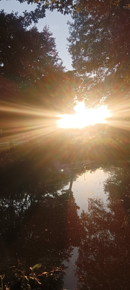 IMG_20240921_180258.jpg - Napaleni75