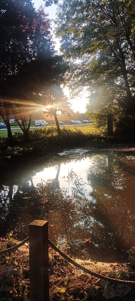 IMG_20240921_180251.jpg - Napaleni75