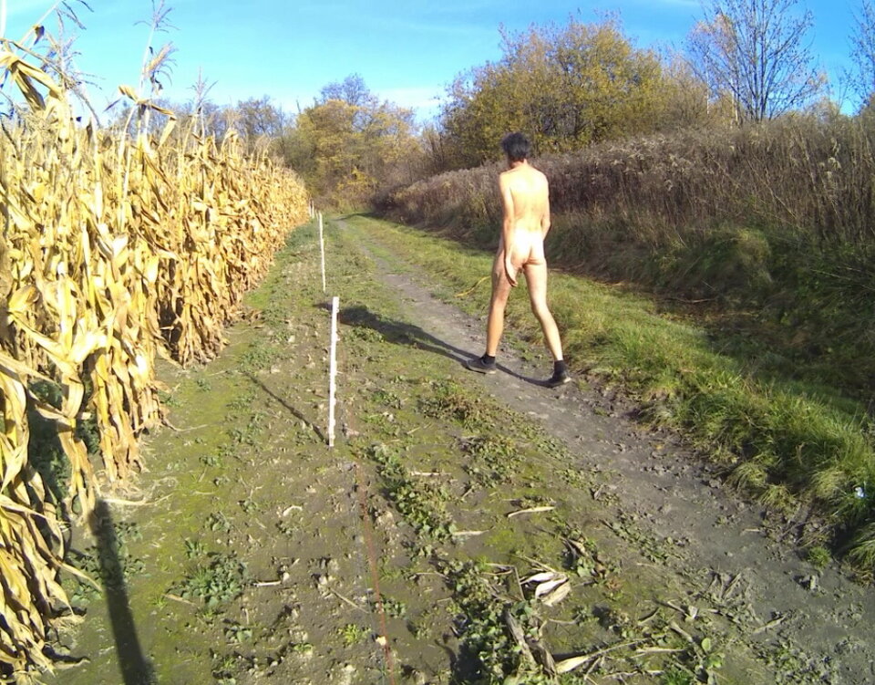 2022-11-03 (1).mp4_snapshot_00.19.063.jpg - Krzysztof_cfnm