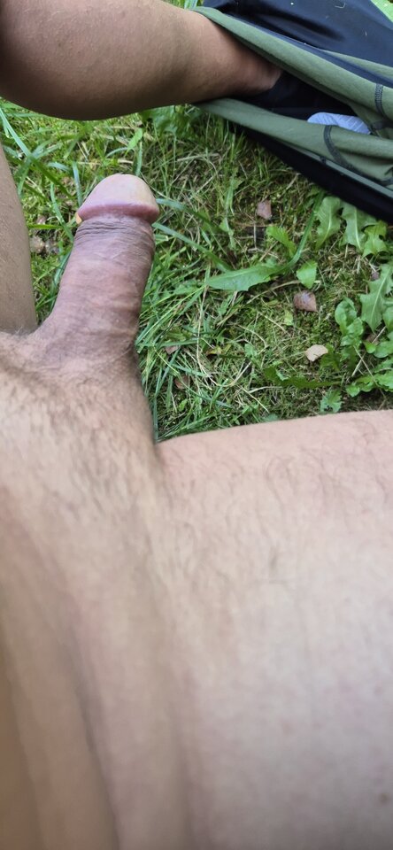 20240922_130233.jpg - kubotar