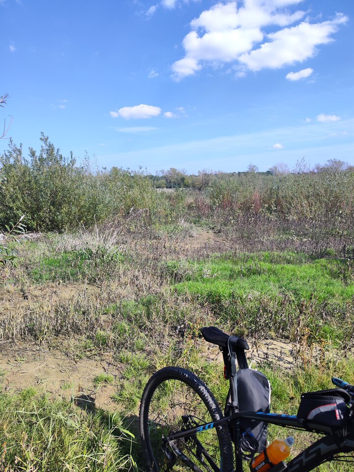 2024-09-2213.27.21664930638862560386.jpg - tom6970