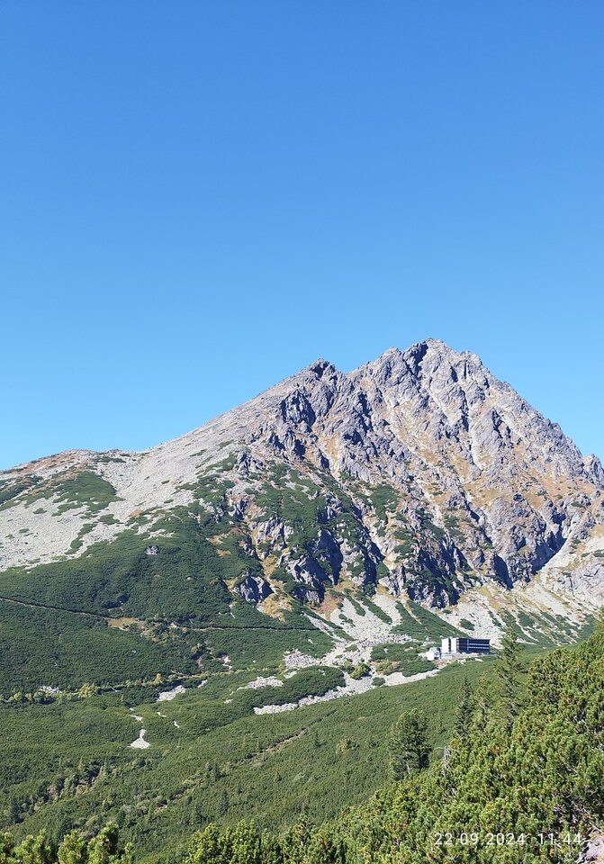 IMG_20240922_134147.jpg - Borsuczki1970