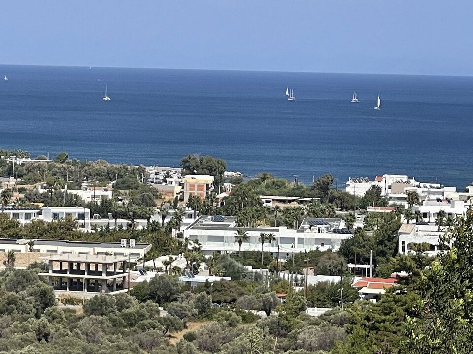 IMG_6427.jpeg - onaion49