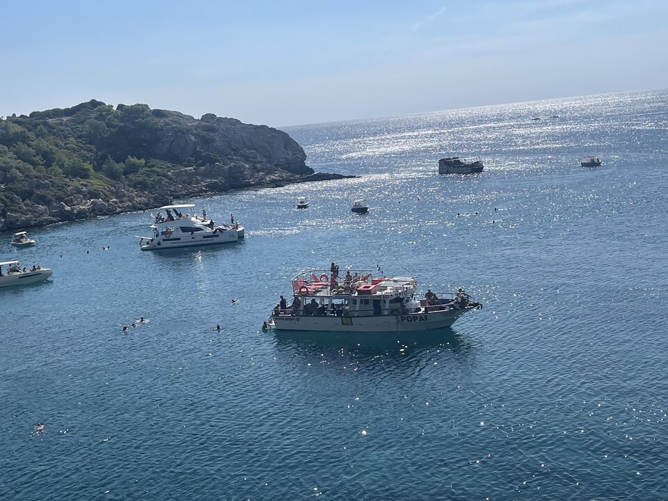 IMG_6396.jpeg - onaion49