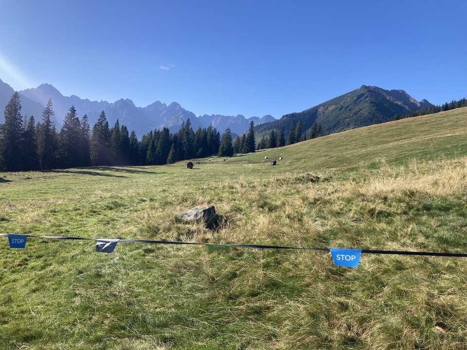 IMG_6457.jpeg - LFPussy