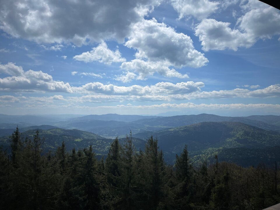 IMG-20240512-WA0011.jpg - Czarodzieje_alfa