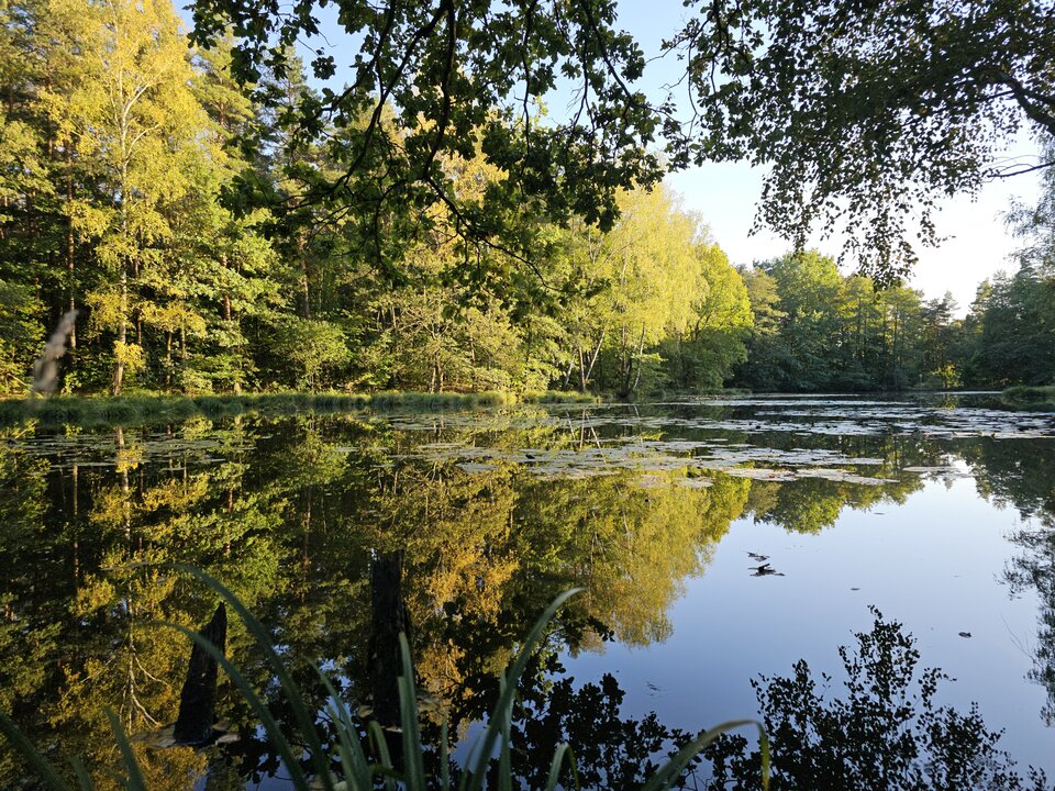 1000025968.jpg - radar_42