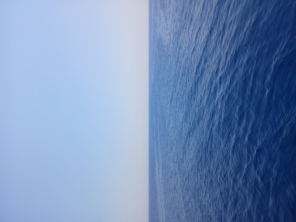 1000008885.jpg - Szoguniasty76