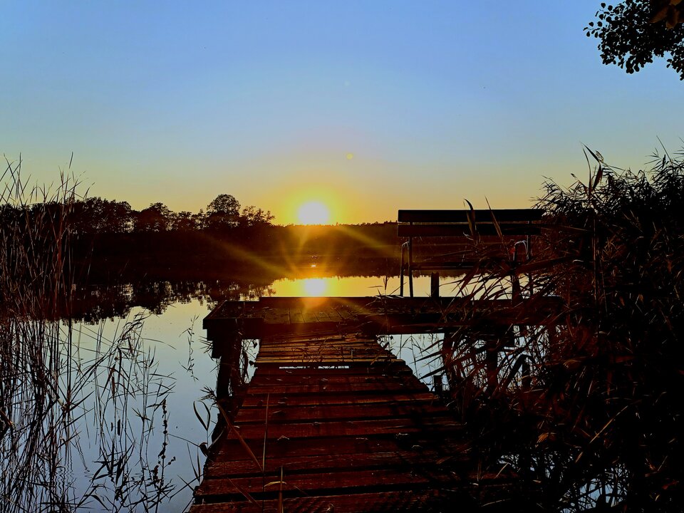 20240922_182522.jpg - Skorpion750