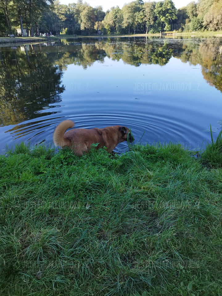 IMG_20240922_162108.jpg - Jestemjakwino78_2