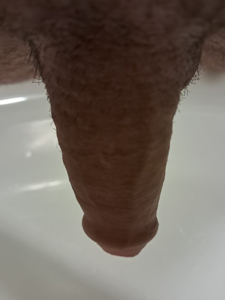 1000019512.jpg - LysyKogucik1