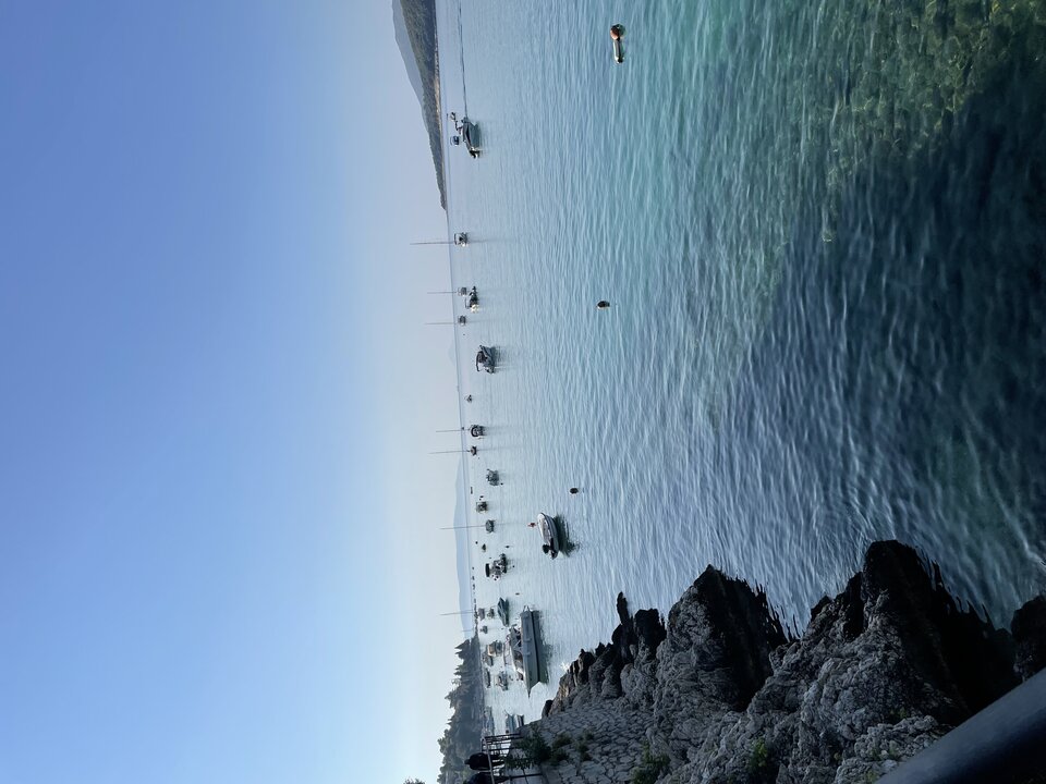 IMG_0073.jpeg - Alexander78