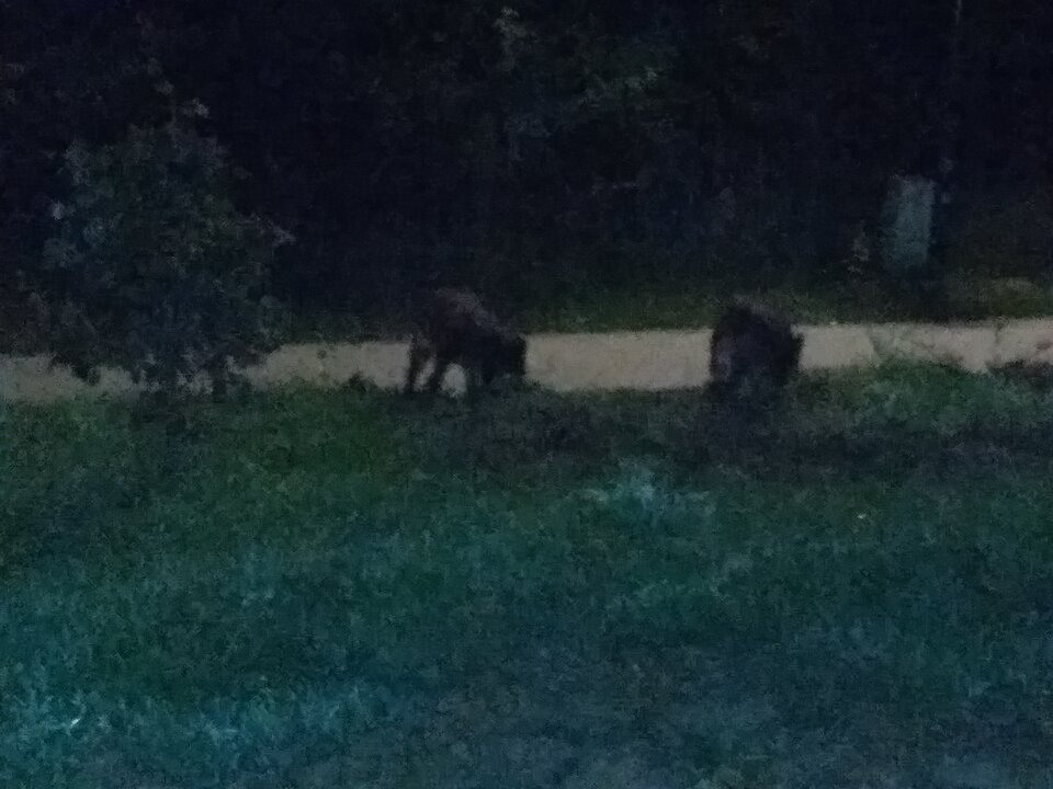 20240922_002618.jpg - Perversor12345