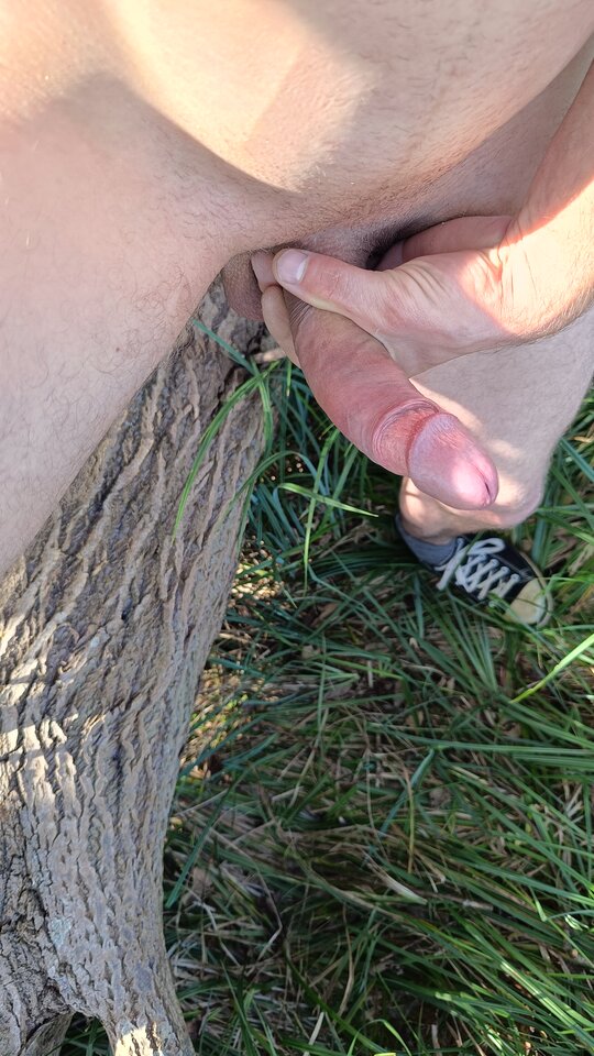 IMG20240923131557.jpg - Pannpenisek1