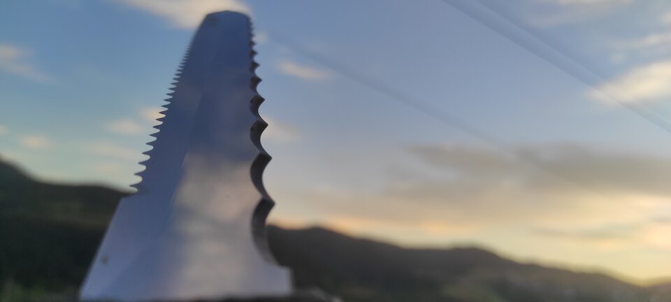 1727108399792854090085065663445.jpg - NicponieFest