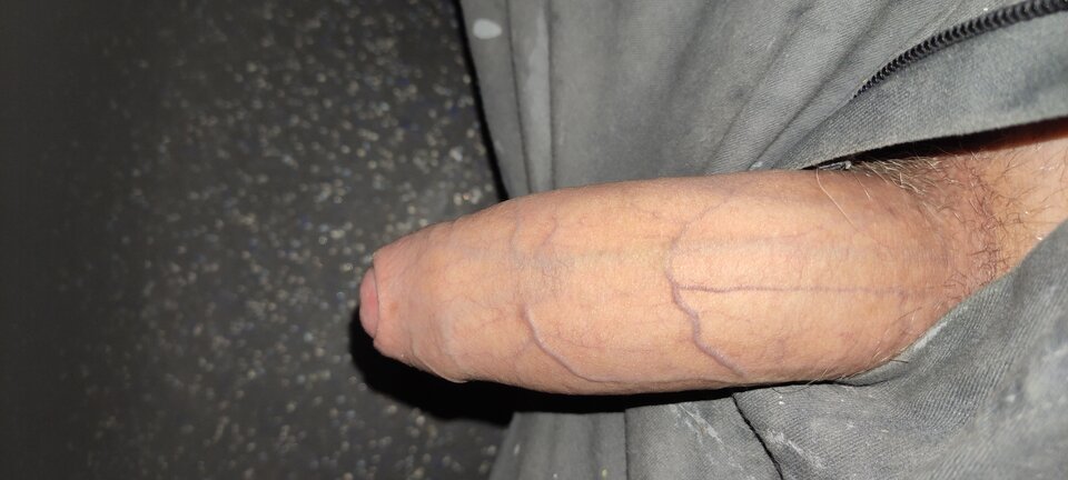 IMG_20240924_041045.jpg - Dixico