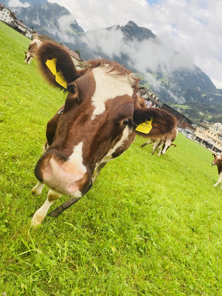 IMG_7036.jpeg - May_Day